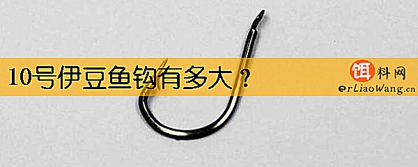 10号伊豆鱼钩有多大