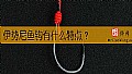 《伊势尼鱼钩有什么特点?》封面图
