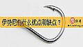《伊势尼有什么优点和缺点?》封面图