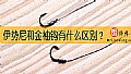 《伊势尼和金袖钩有什么区别？》封面图