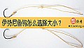 伊势尼鱼钩怎么选择大小?