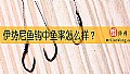 《伊势尼鱼钩中鱼率怎么样？》封面图