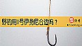 《野钓用1号伊势尼合适吗？》封面图