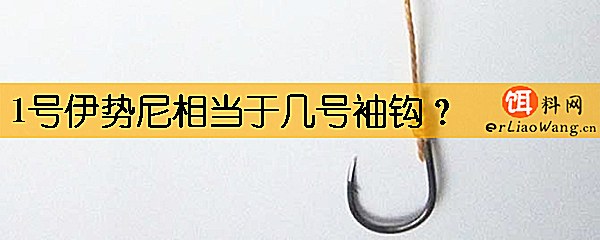 1号伊势尼相当于几号袖钩