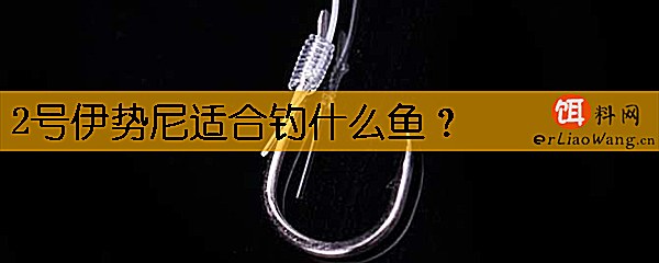 2号伊势尼适合钓什么鱼