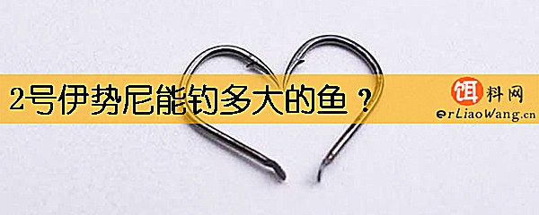 2号伊势尼能钓多大的鱼