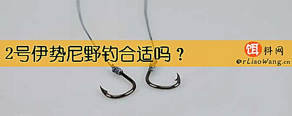 2号伊势尼野钓合适吗