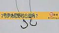 《2号伊势尼野钓合适吗?》封面图