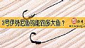 3号伊势尼鱼钩能钓多大鱼?