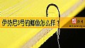 《伊势尼3号钓鲫鱼怎么样？》封面图