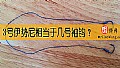 《3号伊势尼相当于几号袖钩？》封面图