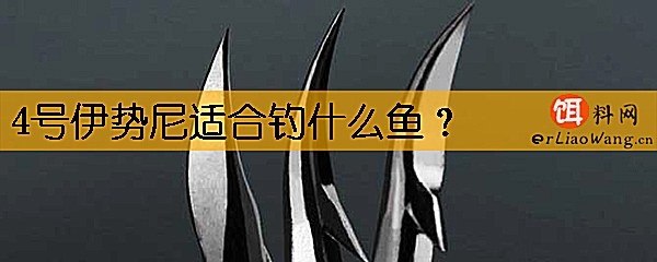 4号伊势尼适合钓什么鱼