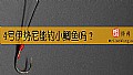 《4号伊势尼能钓小鲫鱼吗？》封面图