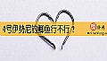 4号伊势尼钓鲫鱼行不行？