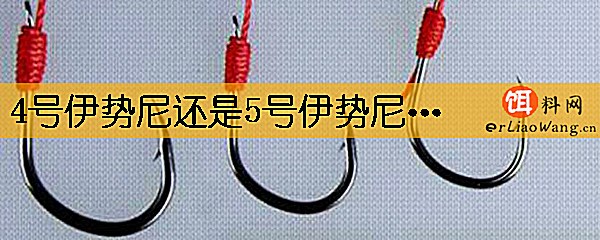 4号伊势尼还是5号伊势尼合适