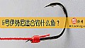 《5号伊势尼适合钓什么鱼?》封面图