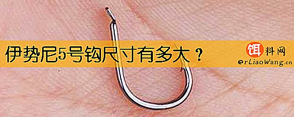 伊势尼5号钩尺寸有多大