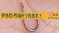 《伊势尼5号钩尺寸有多大?》封面图