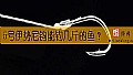 《5号伊势尼钩能钓几斤的鱼?》封面图