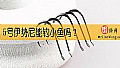 《5号伊势尼能钓小鱼吗?》封面图
