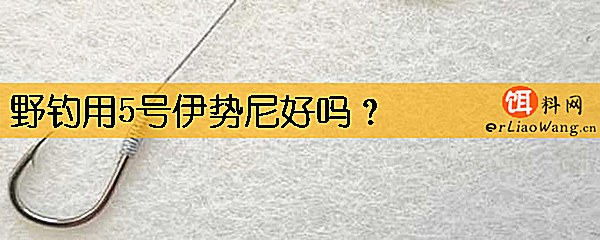 野钓用5号伊势尼好吗