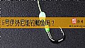 5号伊势尼能钓鲫鱼吗？