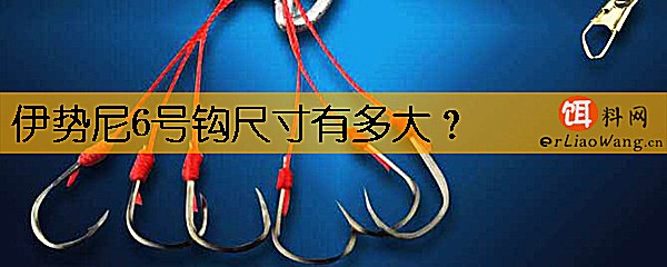 伊势尼6号钩尺寸有多大