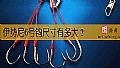 《伊势尼6号钩尺寸有多大？》封面图