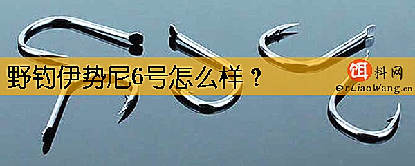 野钓伊势尼6号怎么样