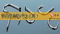 野钓伊势尼6号怎么样？