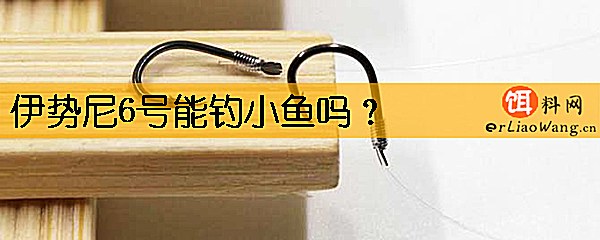 伊势尼6号能钓小鱼吗
