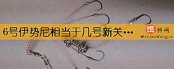 6号伊势尼相当于几号新关东