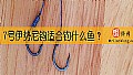《7号伊势尼钩适合钓什么鱼？》封面图