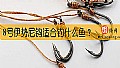 《8号伊势尼钩适合钓什么鱼？》封面图