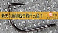 《新关东鱼钩适合钓什么鱼?》封面图