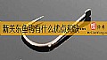 《新关东鱼钩有什么优点和缺点?》封面图