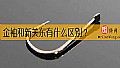 《金袖和新关东有什么区别?》封面图