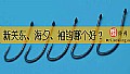 新关东、海夕、袖钩哪个好？