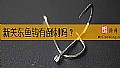 《新关东鱼钩有倒刺吗？》封面图