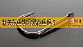 《新关东鱼钩容易跑鱼吗？》封面图