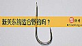 《新关东钩适合野钓吗？》封面图