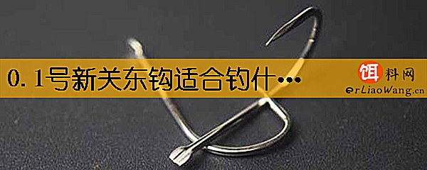 0.1号新关东钩适合钓什么鱼