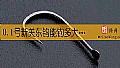 0.1号新关东钩能钓多大的鱼？