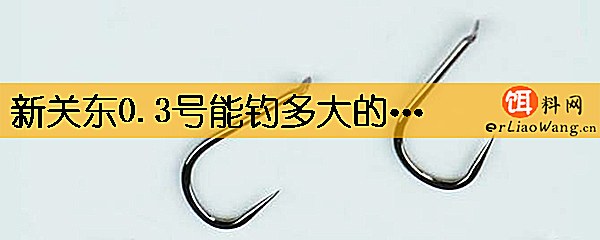 新关东0.3号能钓多大的鱼