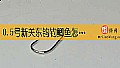 《0.5号新关东钩钓鲫鱼怎么样？》封面图