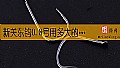 《新关东钩0.8号用多大的子线？》封面图