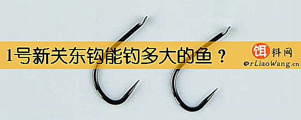 1号新关东钩能钓多大的鱼