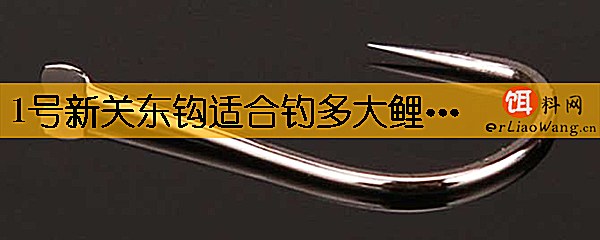 1号新关东钩适合钓多大鲤鱼