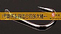 《1号新关东钩适合钓多大鲤鱼？》封面图