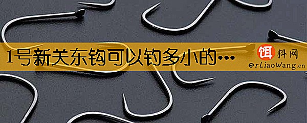 1号新关东钩可以钓多小的鱼